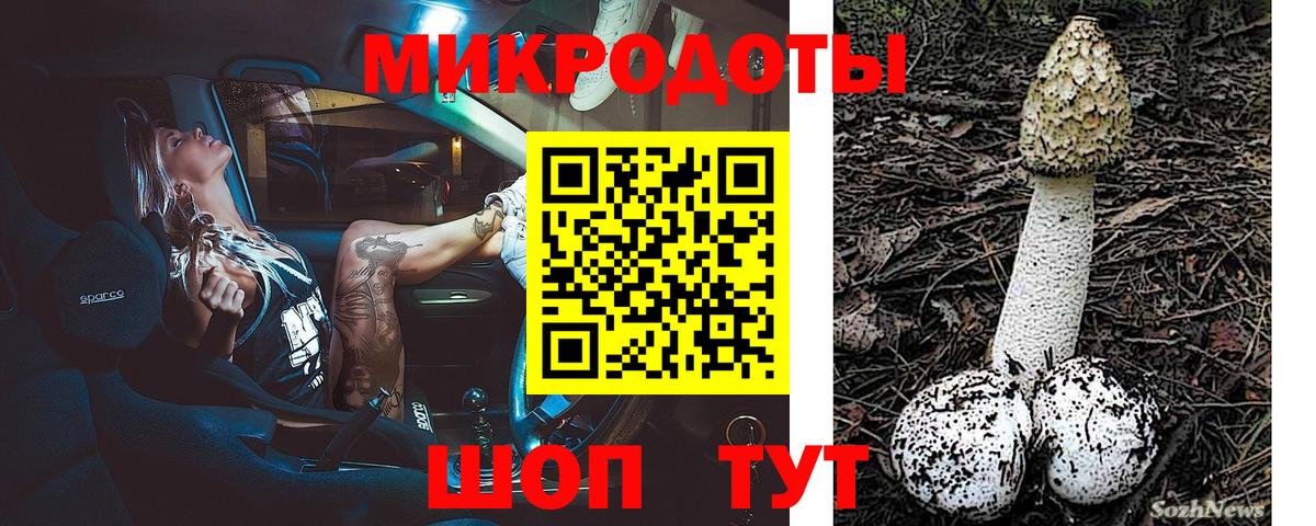 Галлюциногенные грибы прущие грибы Новый Уренгой